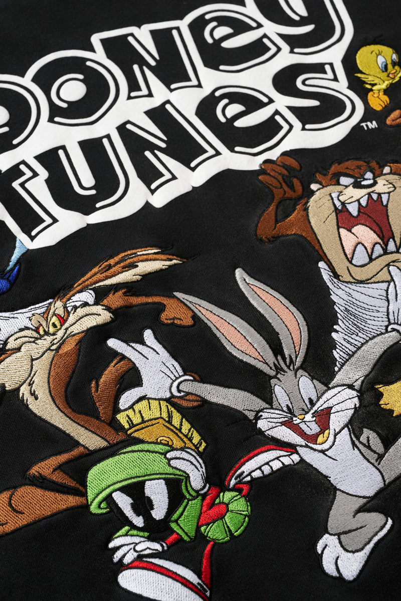 5114 - Looney Tunes Embroidered Hoodies - July 7th