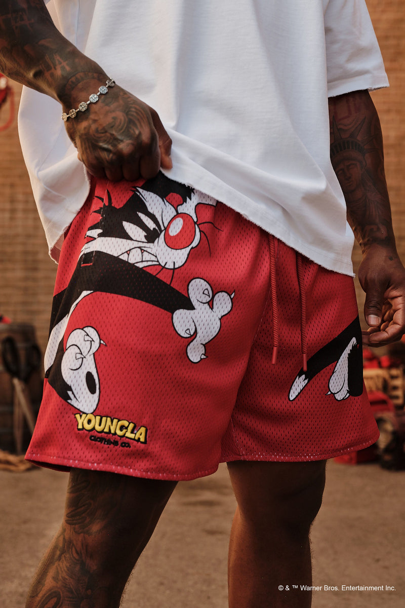 1098 - Looney Tunes Basketball Shorts - July 7th