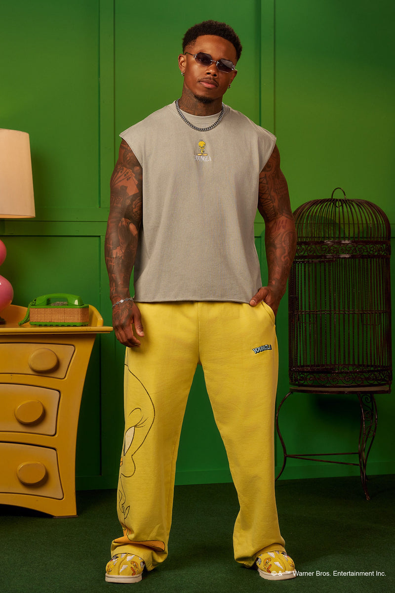 3107 - Looney Tunes Embroidered Cut-offs - July 7th