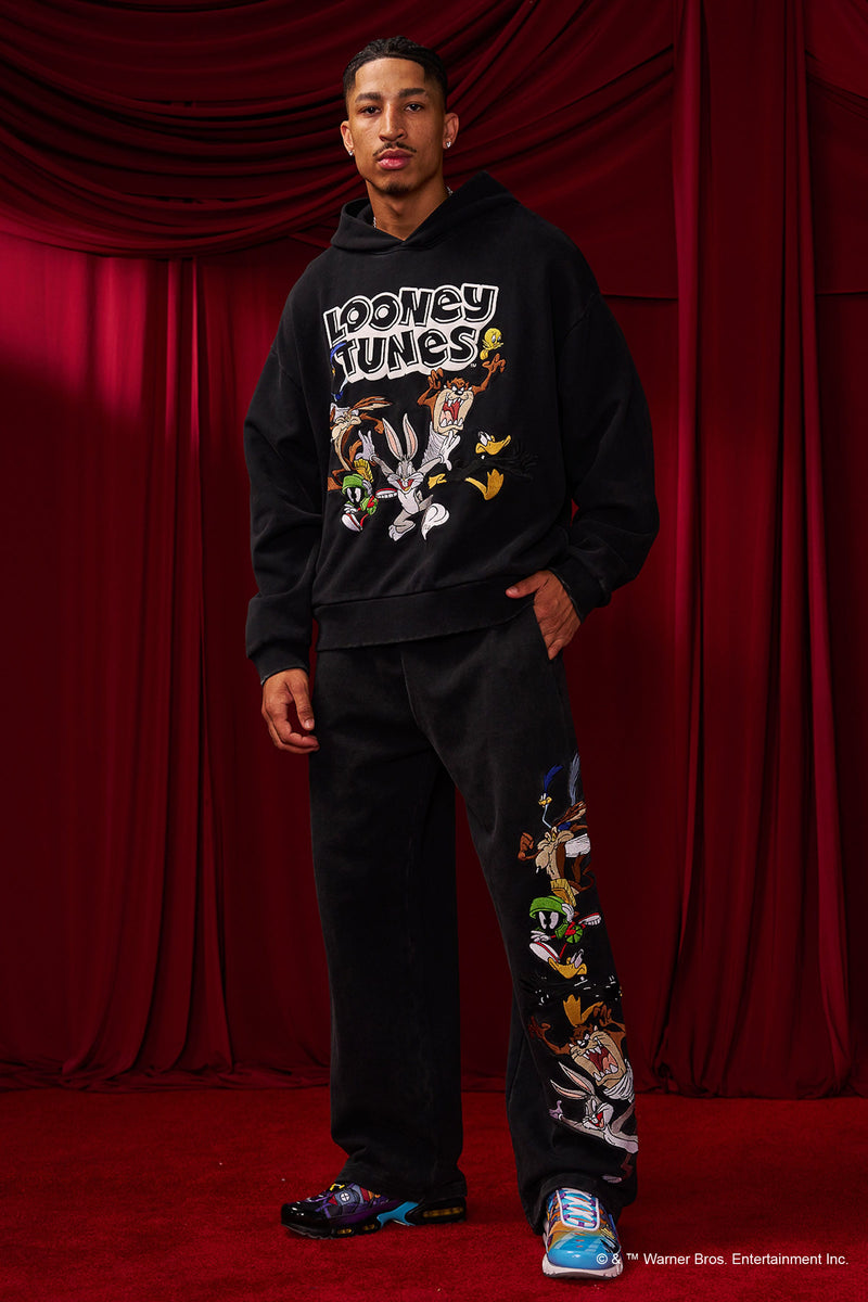 5114 - Looney Tunes Embroidered Hoodies - July 7th