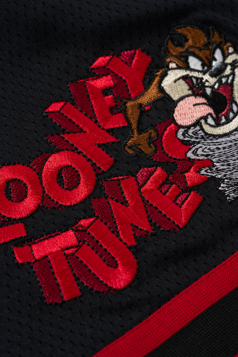 1071 - Looney Tunes Embroidered Patch Shorts - July 7th