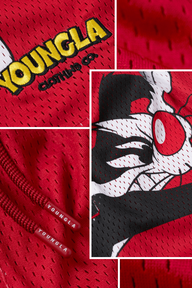 1098 - Looney Tunes Basketball Shorts - July 7th