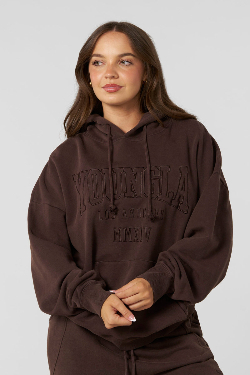 W542 - Mineral Hoodie -soft, premium fabric in rich fall colors with a relaxed, cozy fit for effortless seasonal layering in Brown 