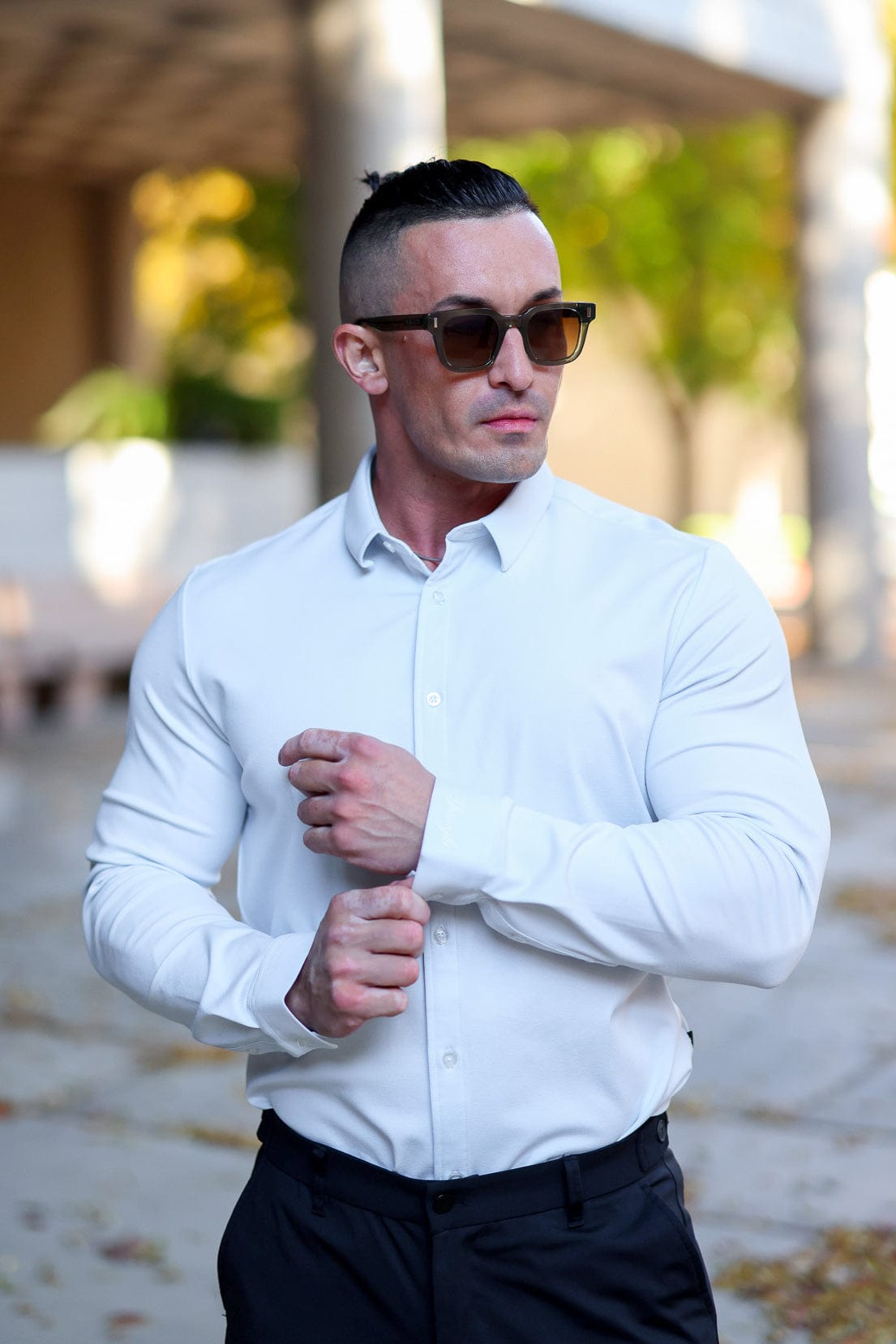 803 - Formal Dress Shirts
