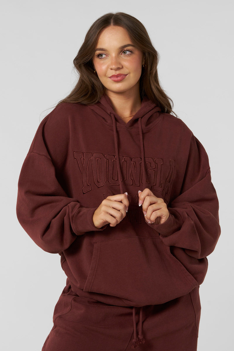 W542 - Mineral Hoodie -soft, premium fabric in rich fall colors with a relaxed, cozy fit for effortless seasonal layering in Brick Red