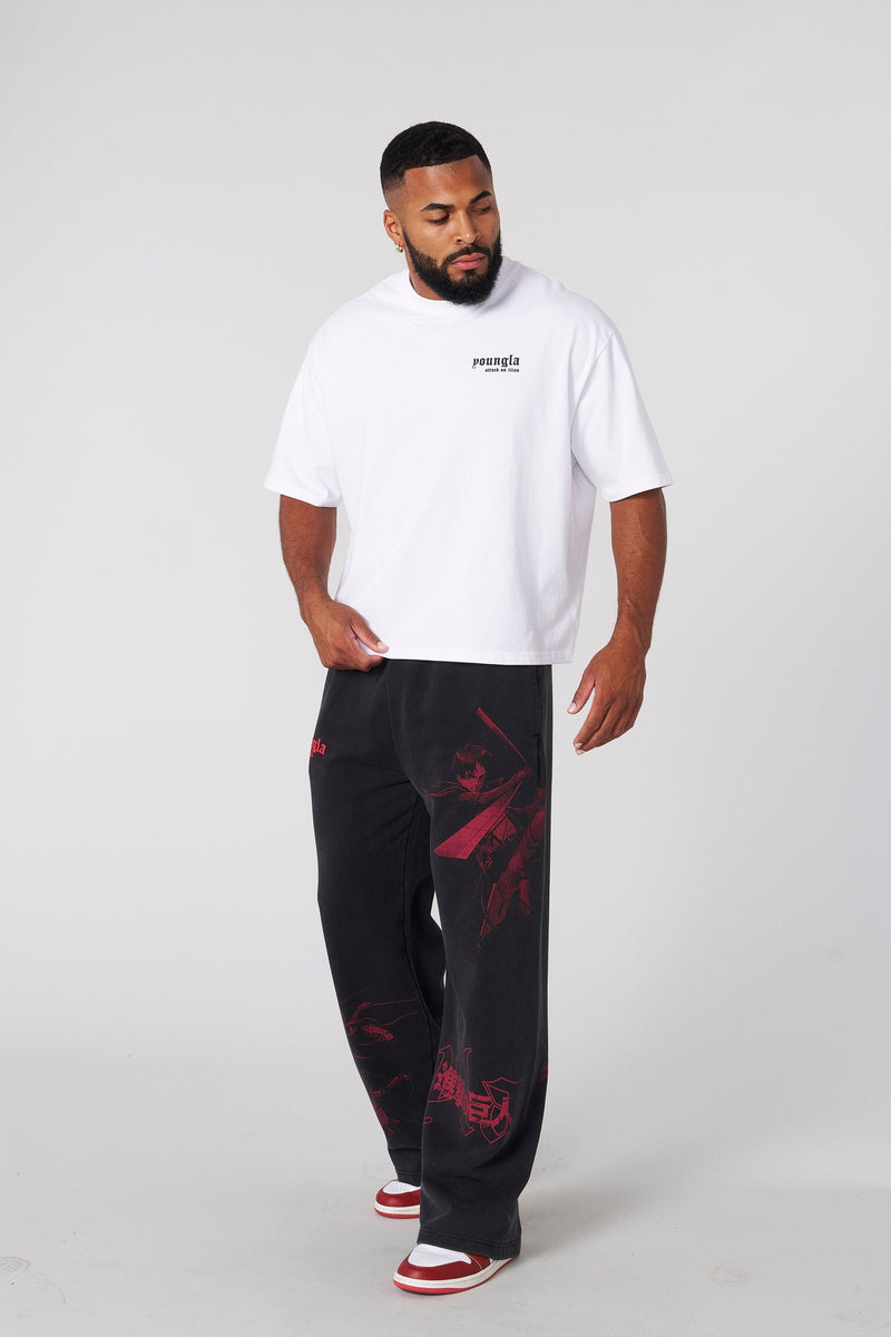 4186 - AOT©  x YLA Cropped Tees