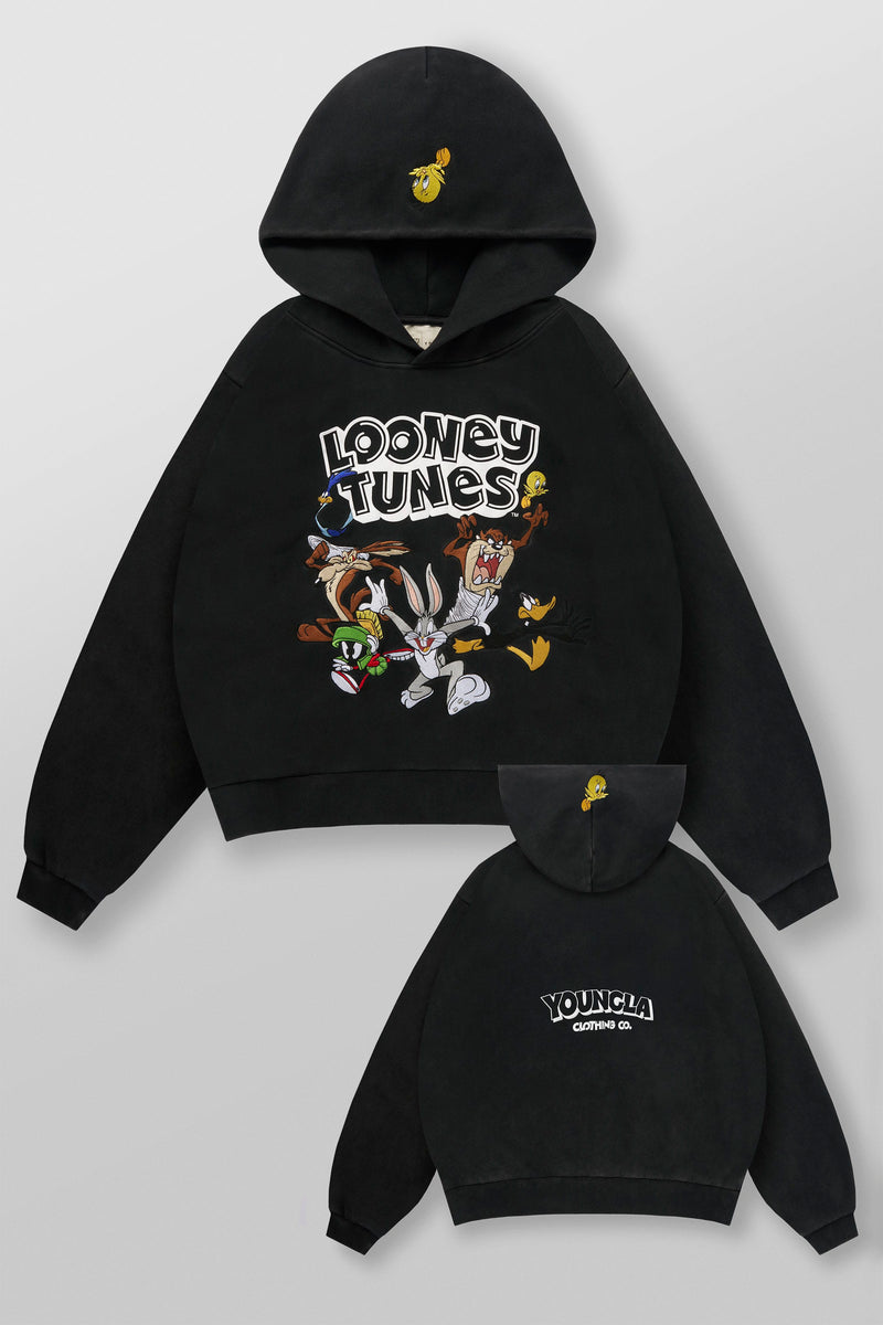 5114 - Looney Tunes Embroidered Hoodies - July 7th