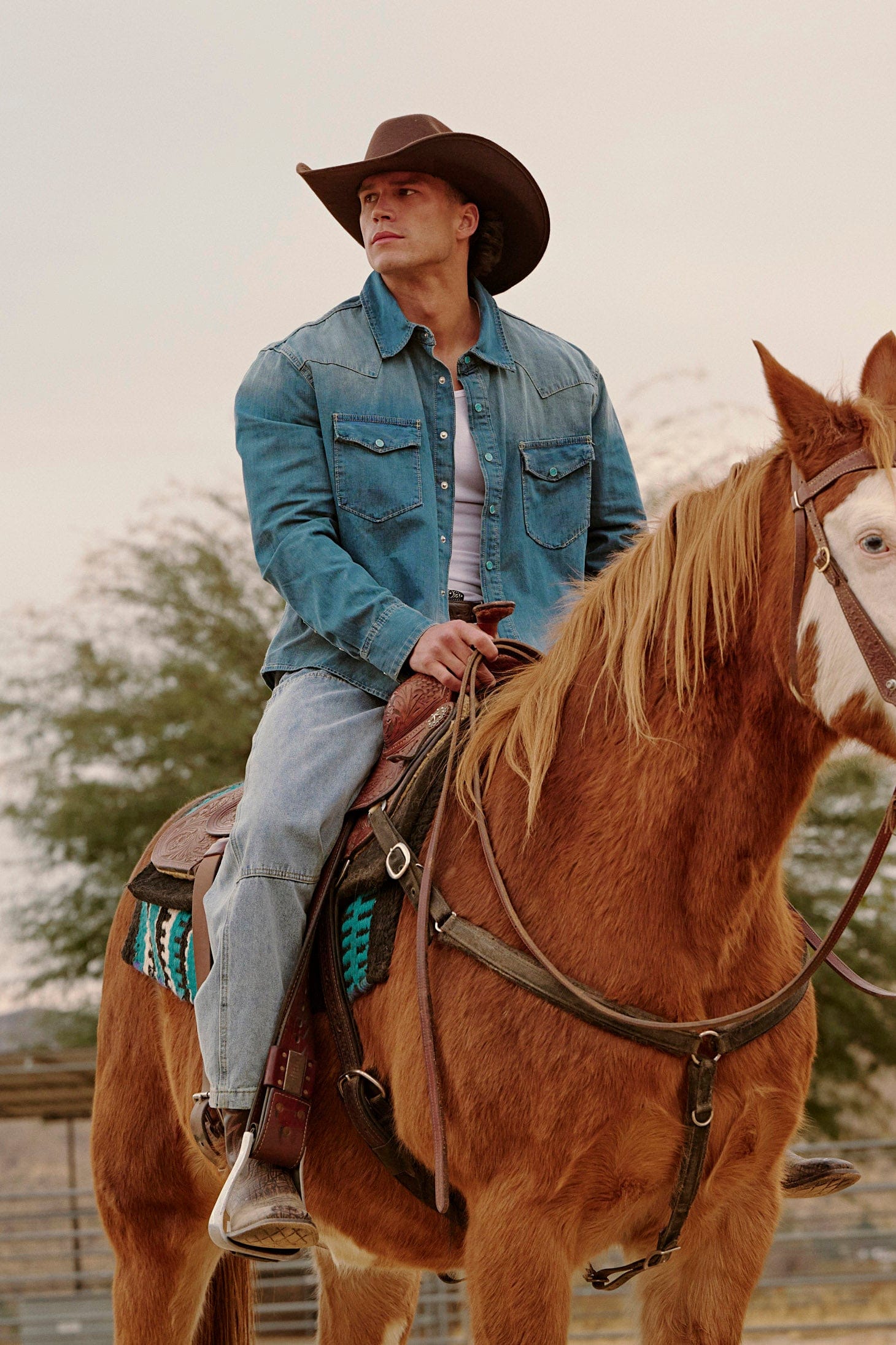 8011 - Western Denim shirts - Feb 13th