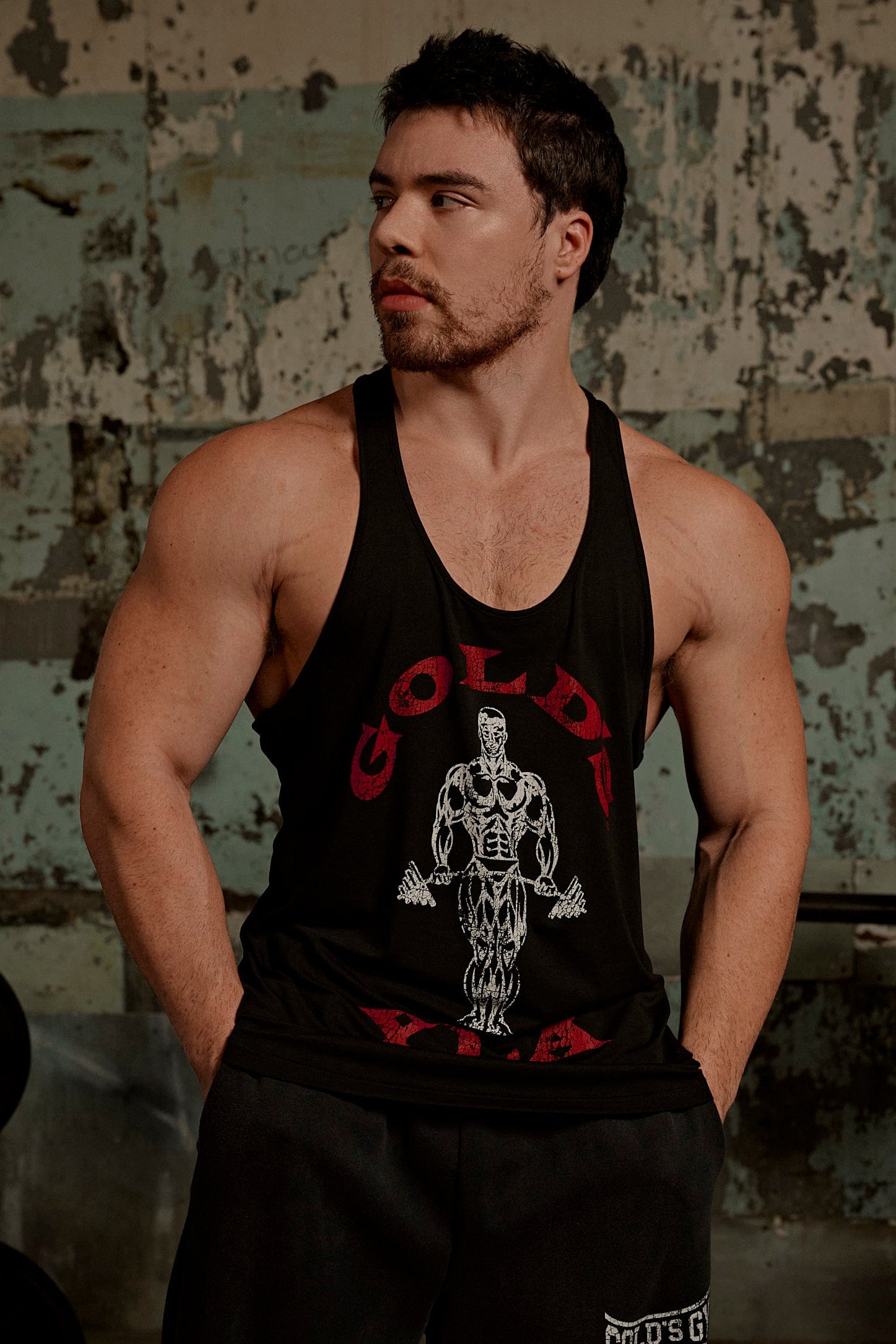 3003 - Gold's Iron Legacy Icon Stringers - June 16th