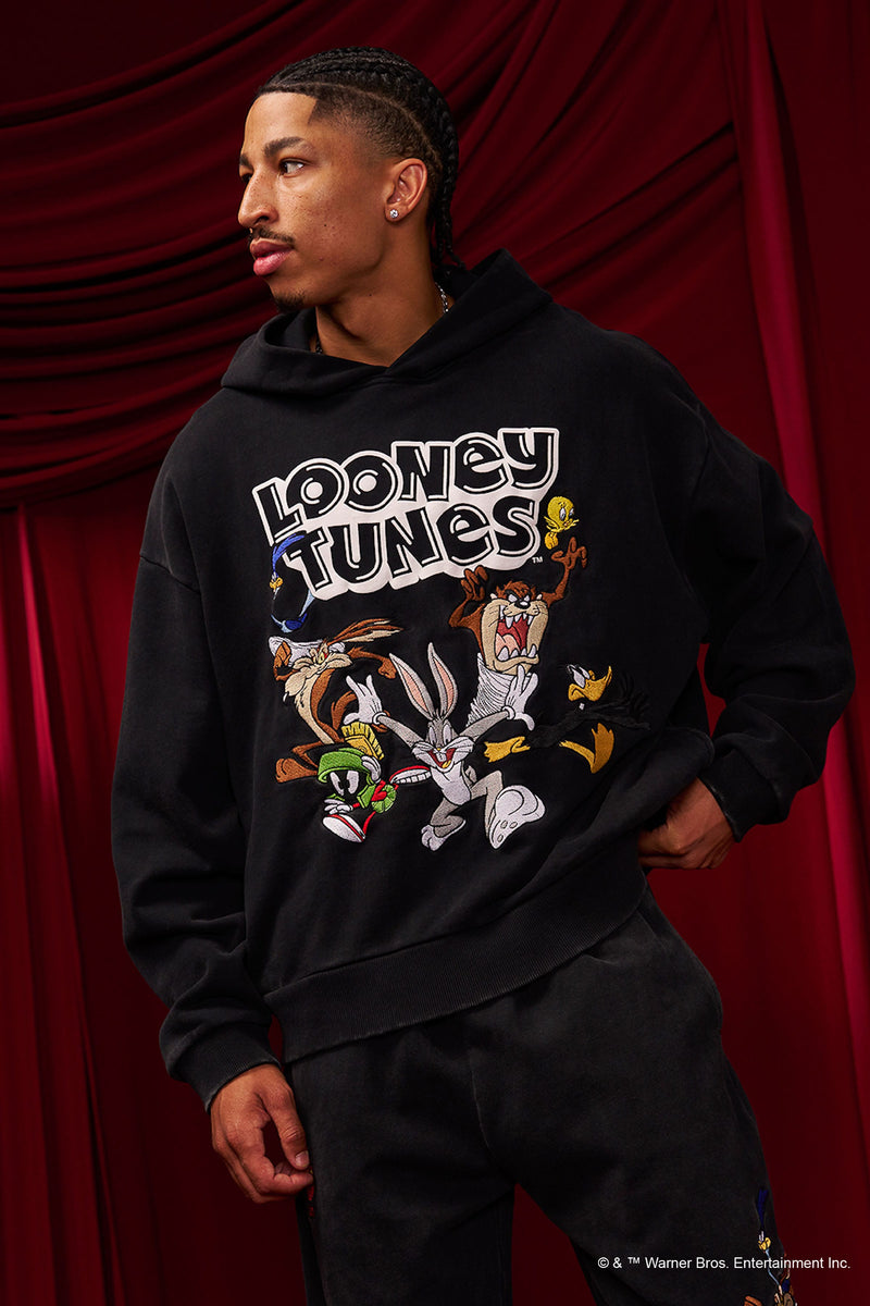 5114 - Looney Tunes Embroidered Hoodies - July 7th