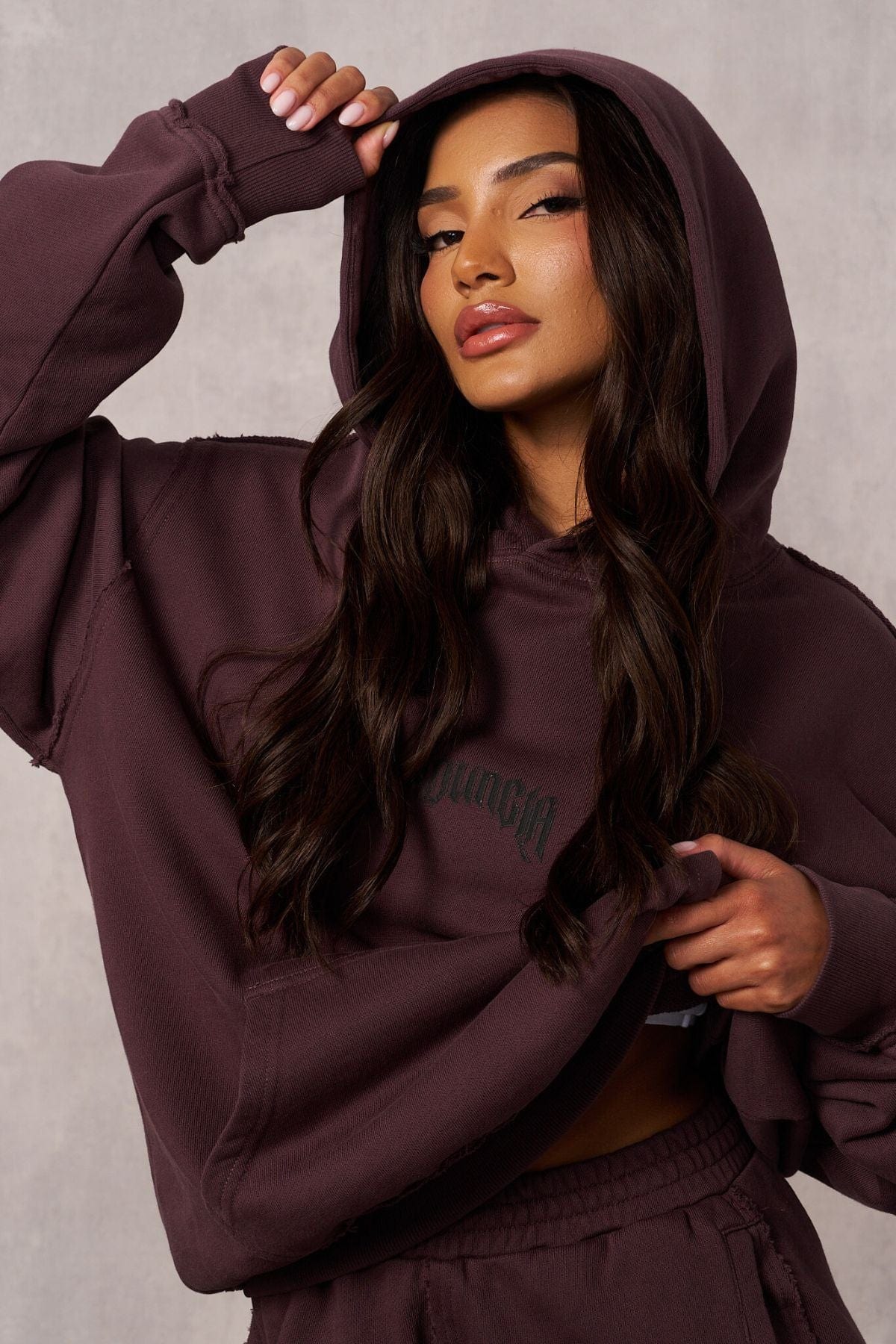 W549 Rebel Hoodie from YoungLA - $48