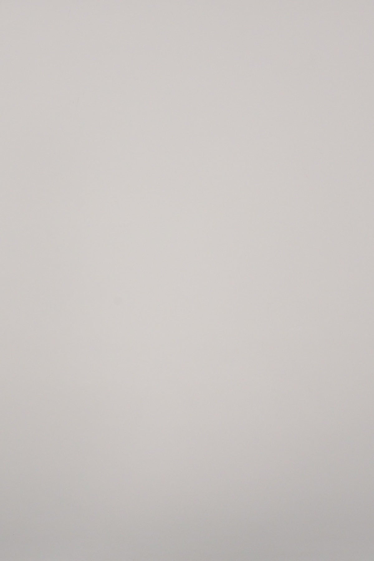 4198 - Core Fitted Ringer Tees - BF - NOV 25th