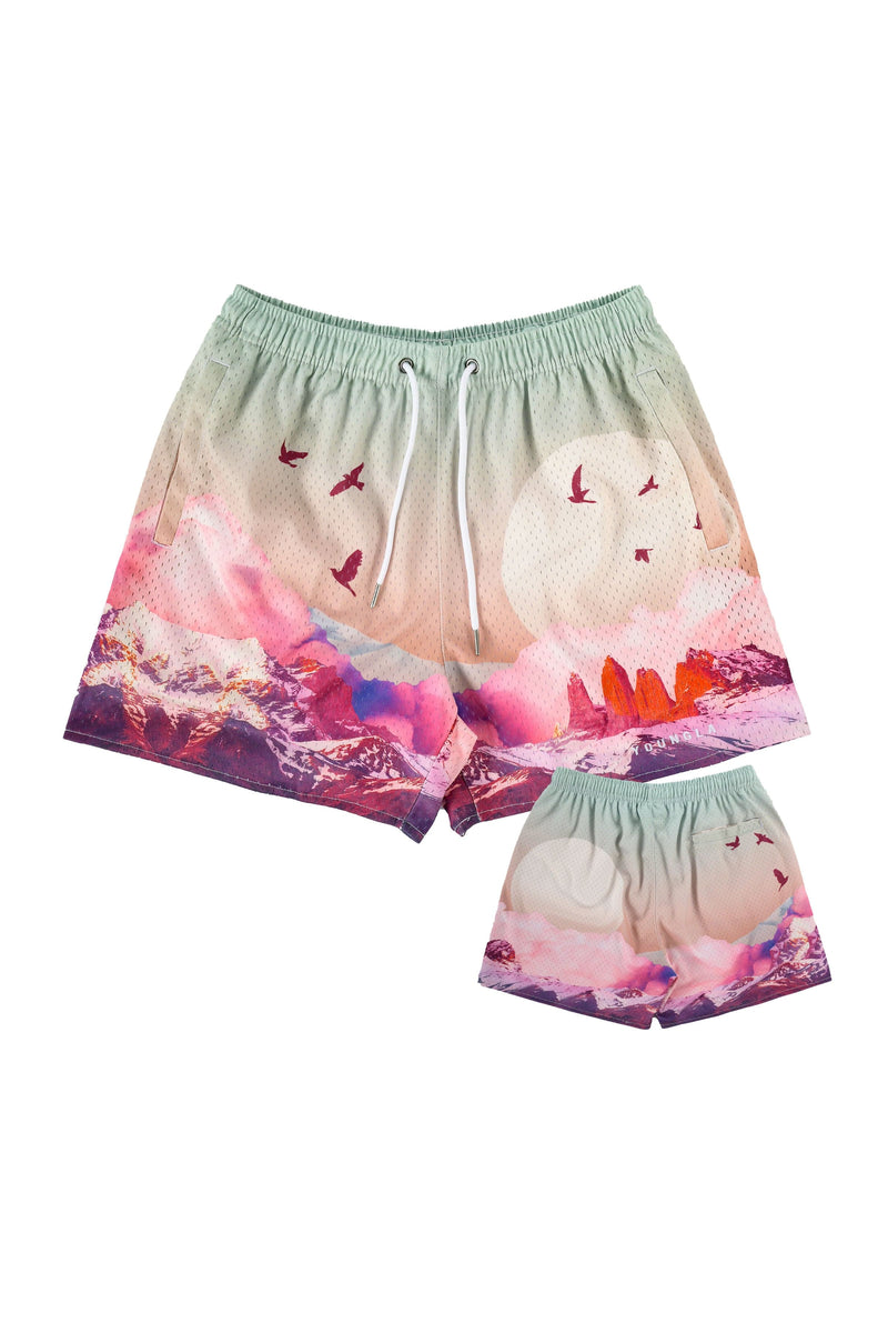 YoungLA Block Party Shorts